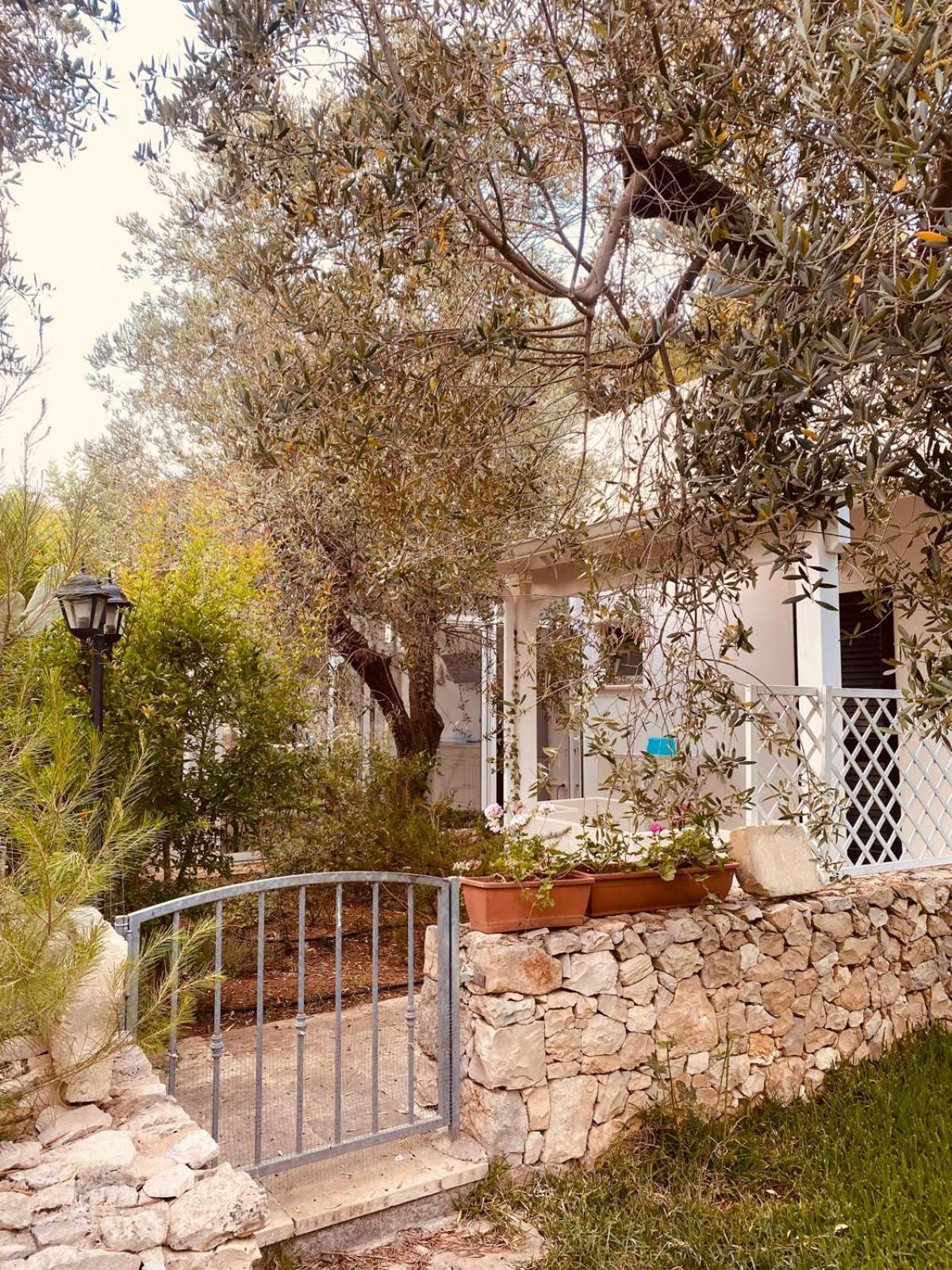 B&B Quasimare Porto Cesareo Exteriér fotografie