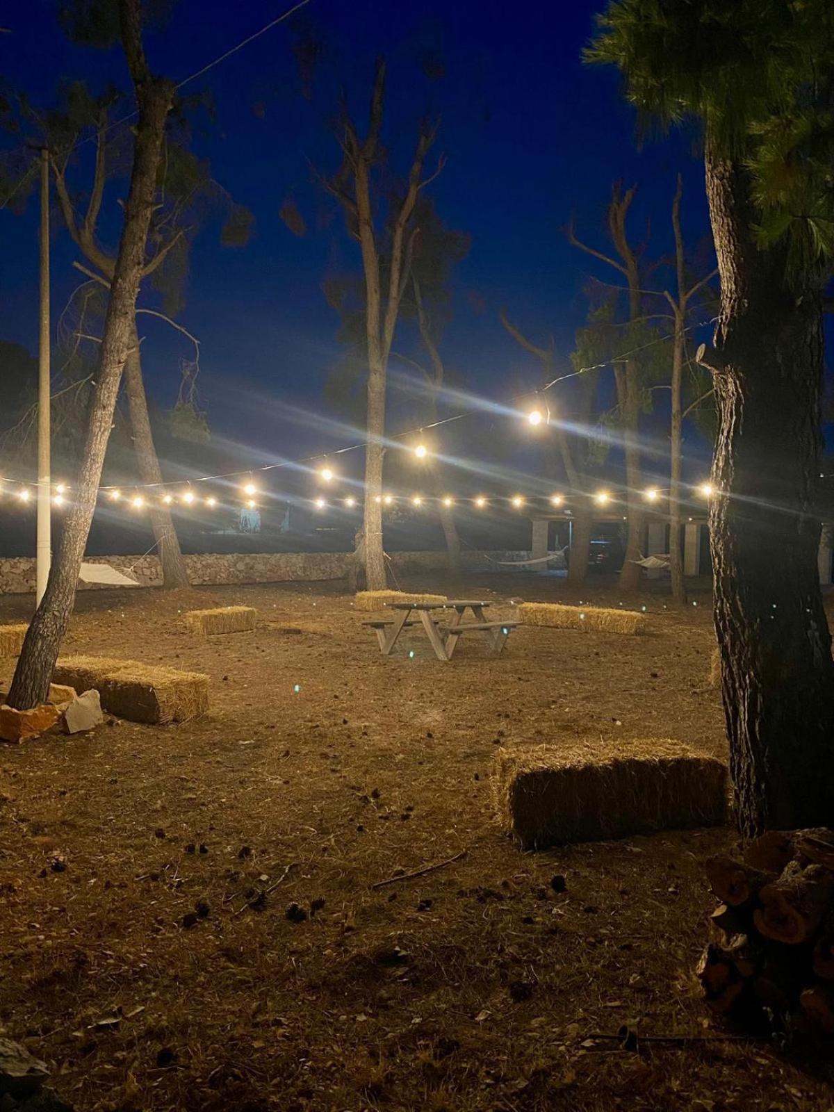 B&B Quasimare Porto Cesareo Exteriér fotografie